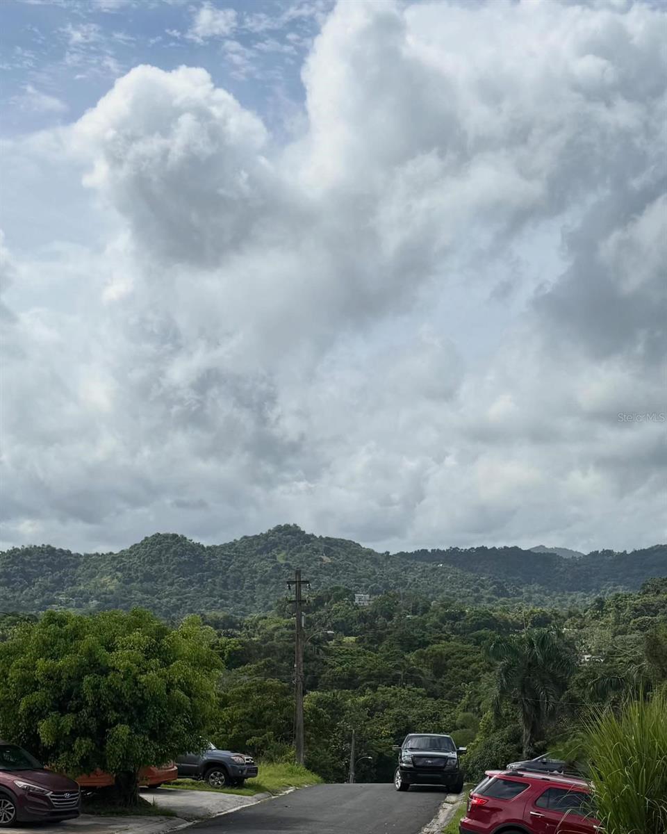 Bo Cerro Gordo BO CERRO GORDO