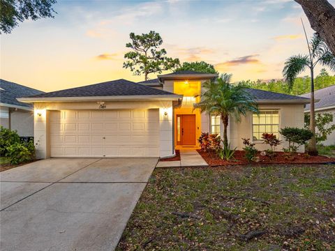 Photo of 13409 Fawn Springs Drive, Tampa, FL 33626 (MLS # TB8386634)