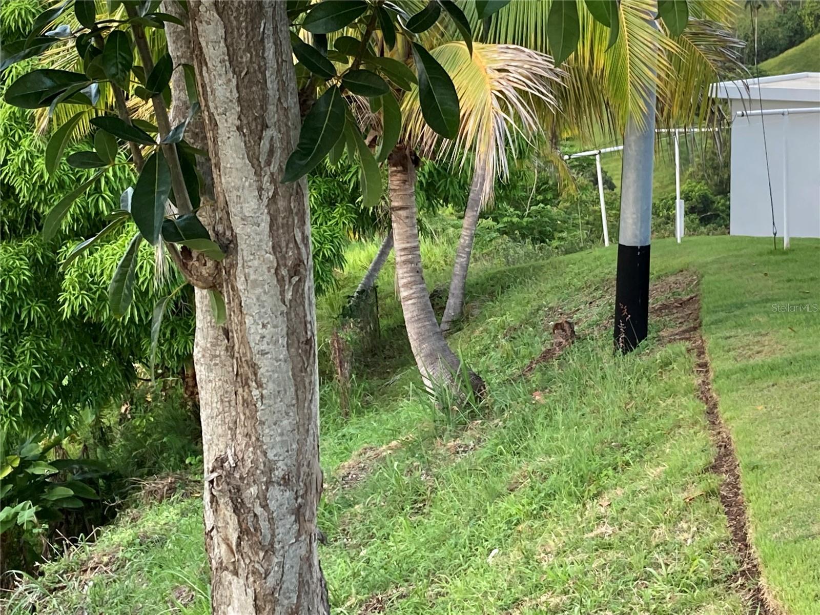 BARRIO CRUCES - Land