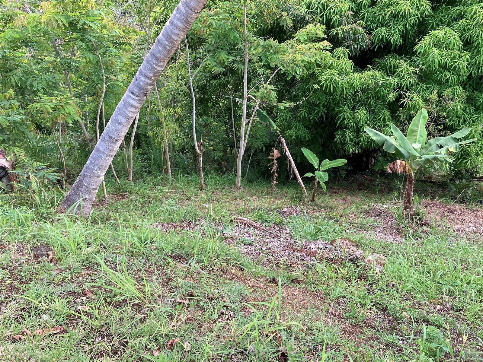 BARRIO CRUCES - Land