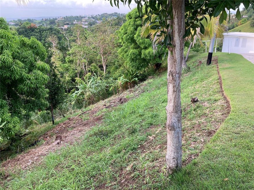 Excellent opportunity to acquire a vacant lot in Aguada, Puerto Rico. Lot #6 with approximately 10.0 meters of frontage according to survey. Located in a quiet residential area with distant ocrean views and great potential for residential development. Convenient access to main roads with utilities nearby. Ideal opportunity for investment or build your dream home.