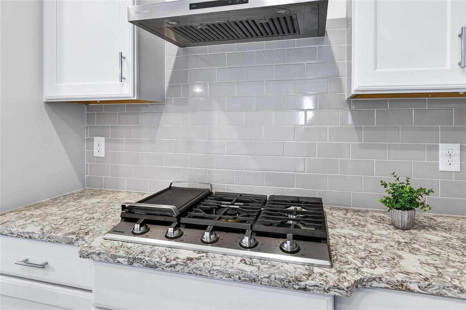 LAKES OF MOUNT DORA - Residential