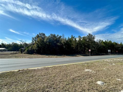 Tiny photo for Tbd Us Hwy 19 (n Young Blvd), Chiefland, FL 32626 (MLS # GC536961)