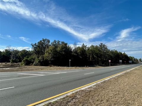 TBD US HWY 19 (N YOUNG BLVD) CHIEFLAND FL 32626