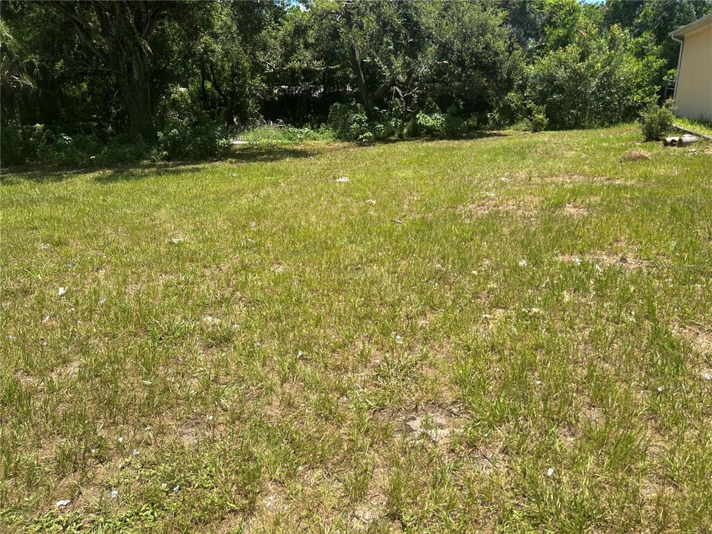 Photo of 1904 W Busch Boulevard, Tampa, FL 33612 (MLS # TB8411234)