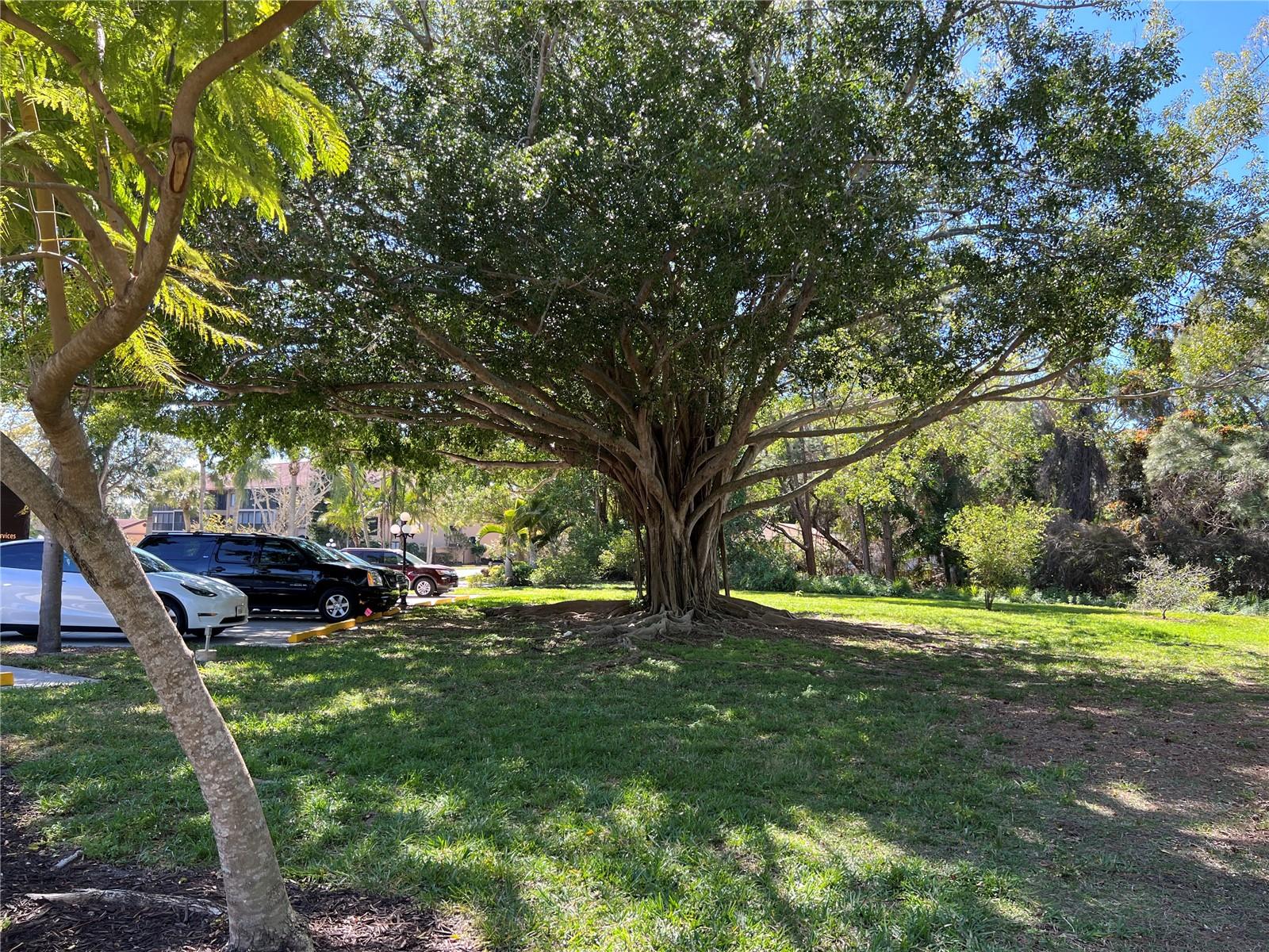 ASHTON LAKES 01 & 02 - Residential Lease