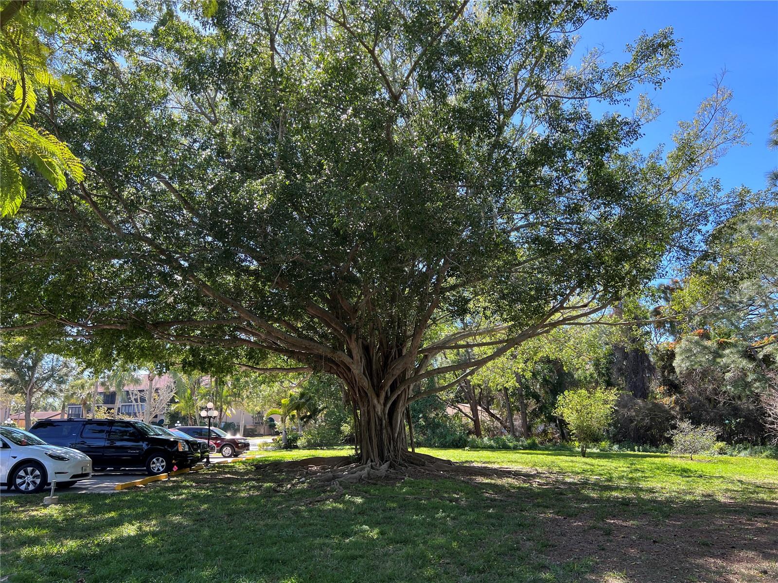 ASHTON LAKES 01 & 02 - Residential Lease