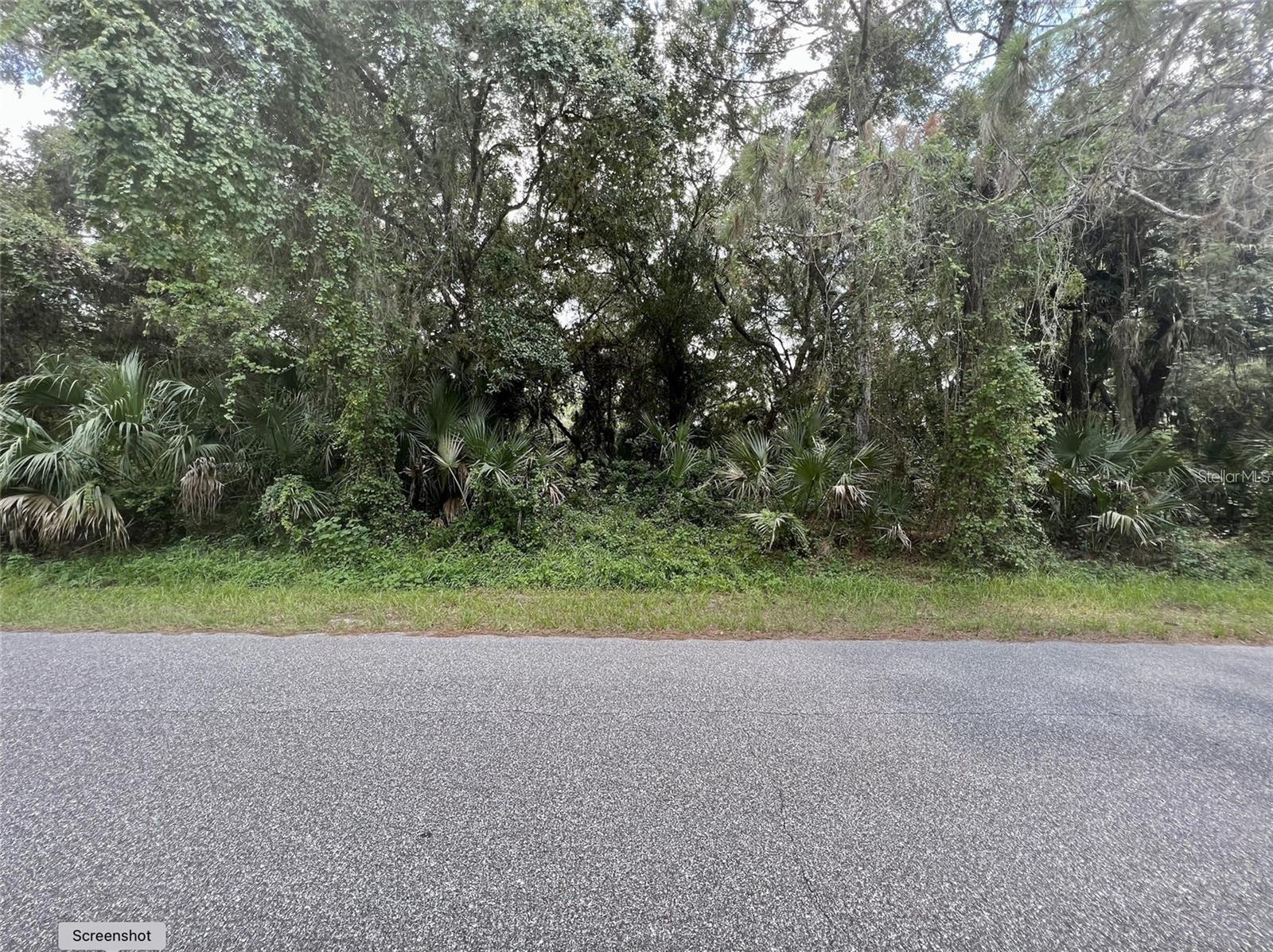 Come build your beautiful home on this 0.238 Acre Lot in North Port Florida. No HOA fees. NO deed restrictions. NO CDDs. Conveniently
located to shopping, dining, parks, and more. For baseball fans or to grab a drink at the TikiBar, visit the $35 million Atlanta Braves Spring Training Stadium. Several beaches located within approximate 35 minute drive from this lot. North Port is the 7th largest land mass city in Florida! The growth / potential are definitely appealing to many. Information about local builders available upon request.