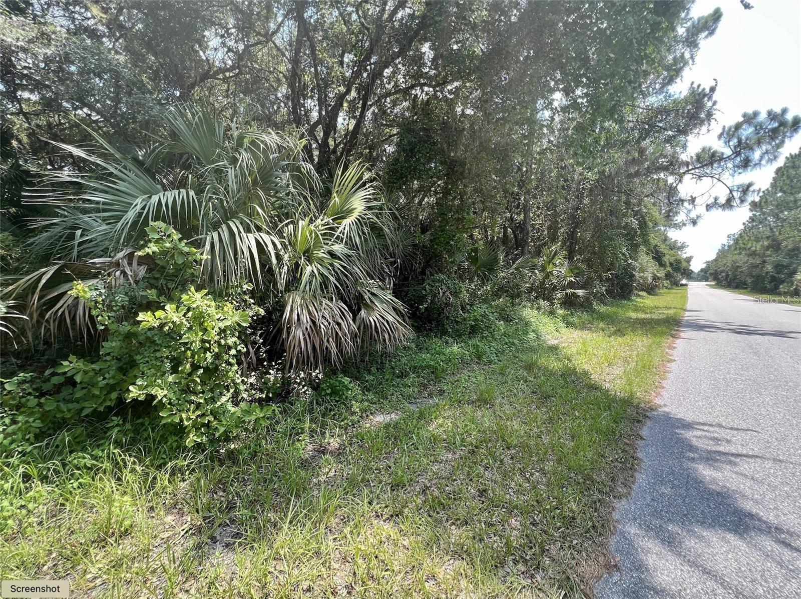 KALISH AVENUE