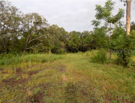 5001 WHIPPOORWILL DRIVE