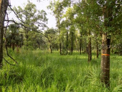 5001 WHIPPOORWILL DRIVE