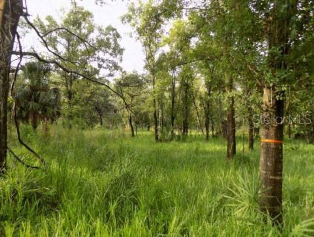 Photo of 5001 Whippoorwill Drive, Holiday, FL 34690 (MLS # W7884728)