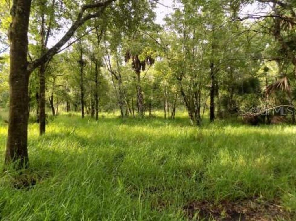 Photo of 5001 Whippoorwill Drive, Holiday, FL 34690 (MLS # W7884728)