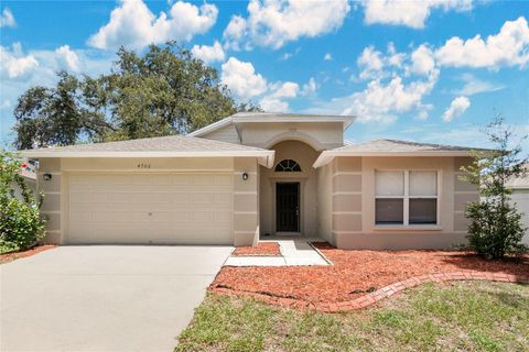 Photo of 4706 Dragon Tail Court, Valrico, FL 33594 (MLS # O6316905)