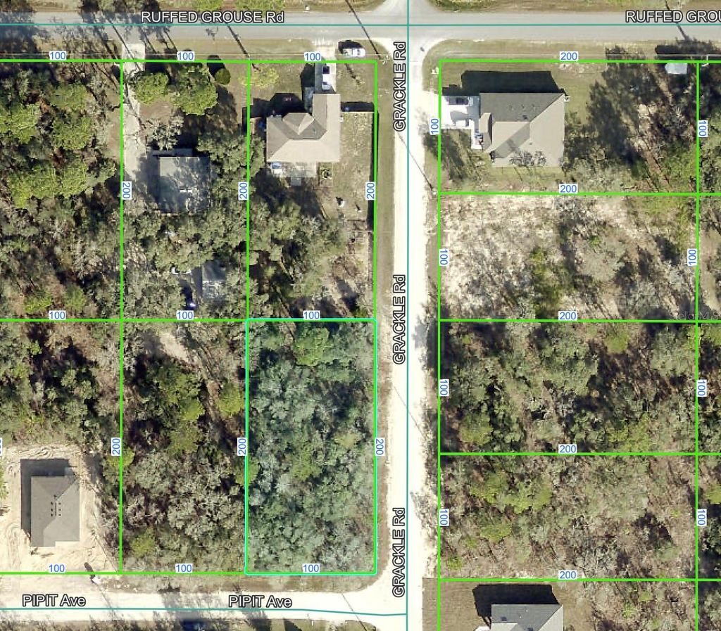 Photo of 0 Grackle Road, Weeki Wachee, FL 34614 (MLS # W7881754)