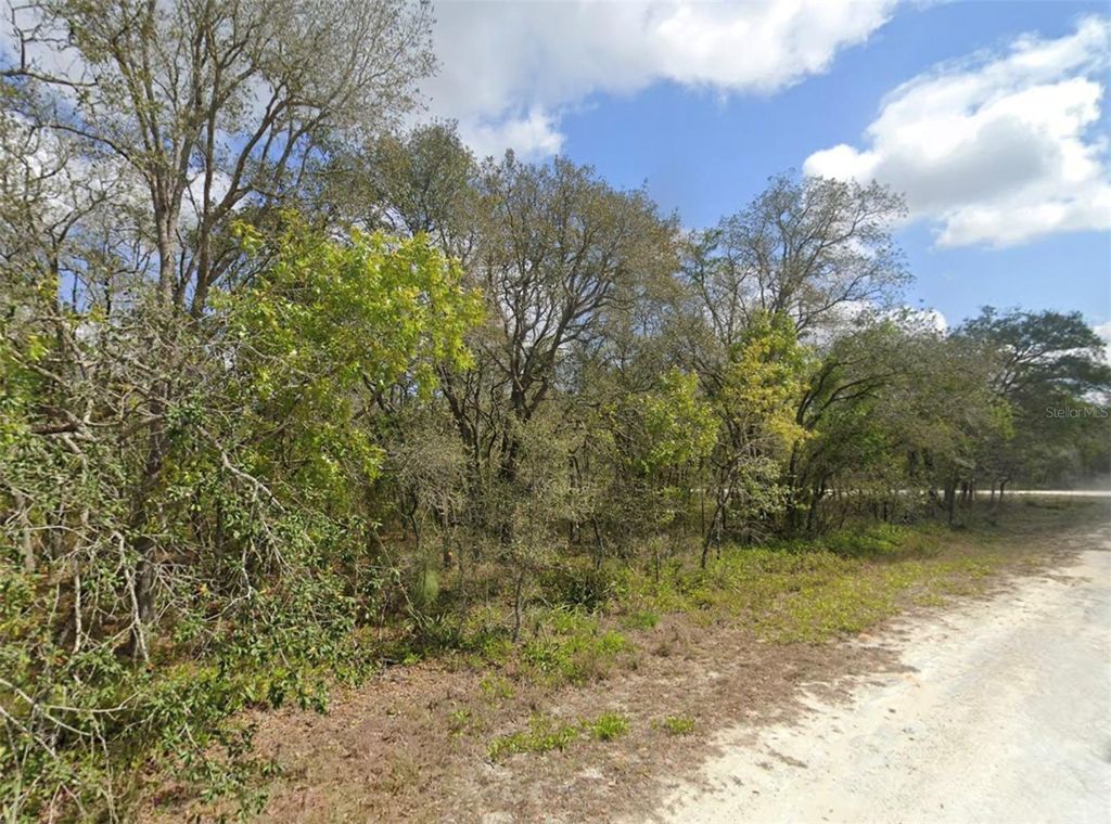 Photo of 0 Grackle Road, Weeki Wachee, FL 34614 (MLS # W7881754)