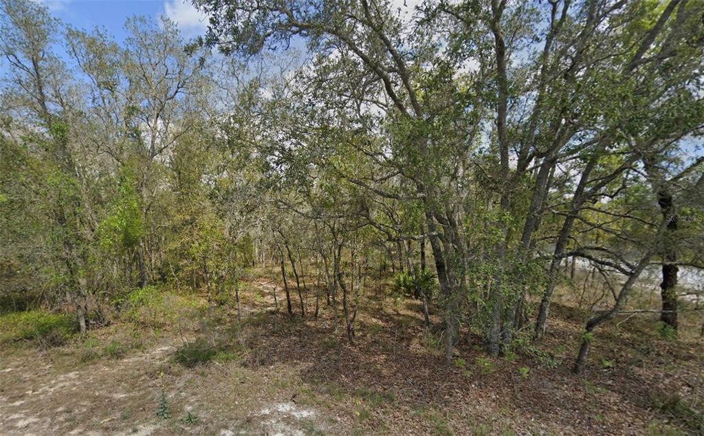 Photo of 0 Grackle Road, Weeki Wachee, FL 34614 (MLS # W7881754)
