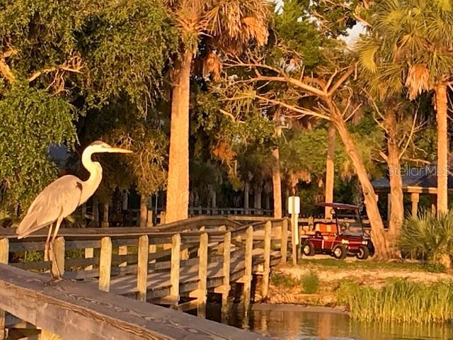 Golden Bay Colony Ph 01 - Residential