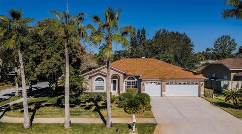 Photo of 2700 Jarvis Circle, Palm Harbor, FL 34683 (MLS # TB8466597)