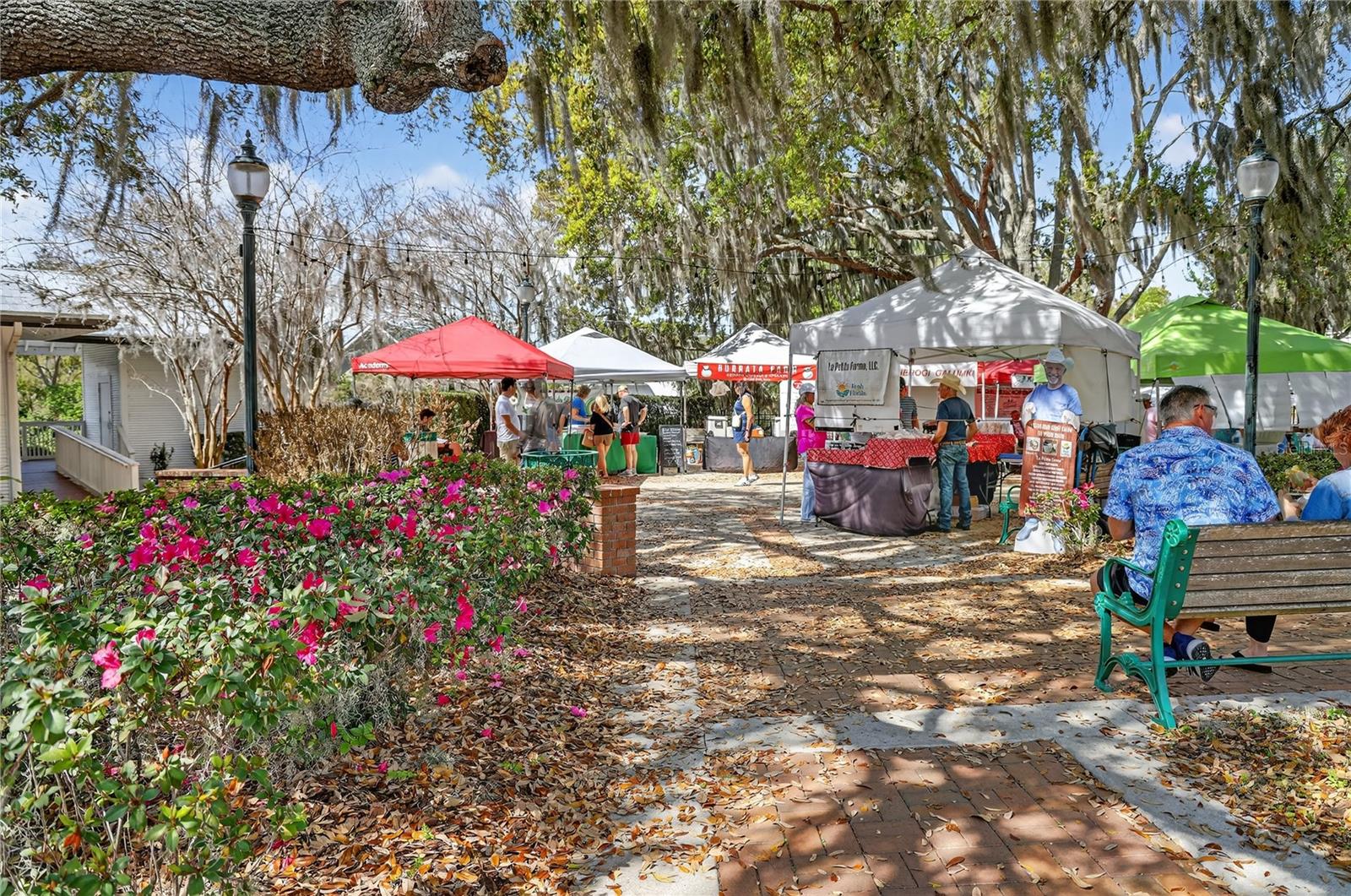 MOUNT DORA HIGH POINT AT LAKE DORA - Residential
