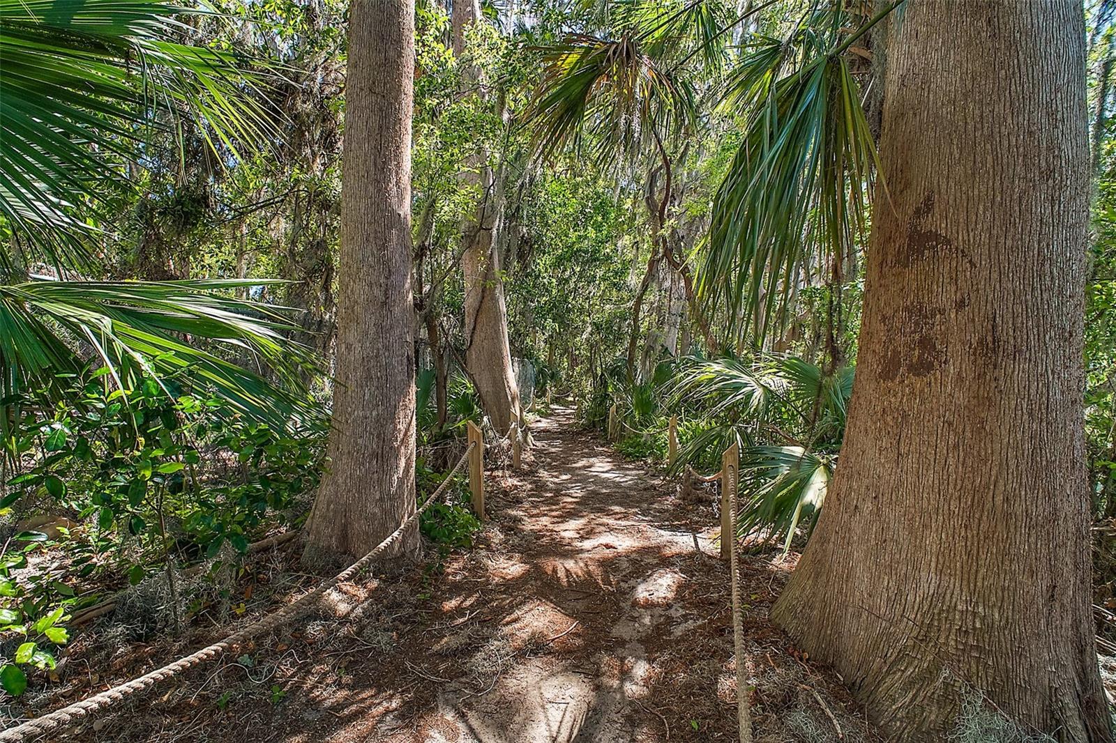 MOUNT DORA HIGH POINT AT LAKE DORA - Residential