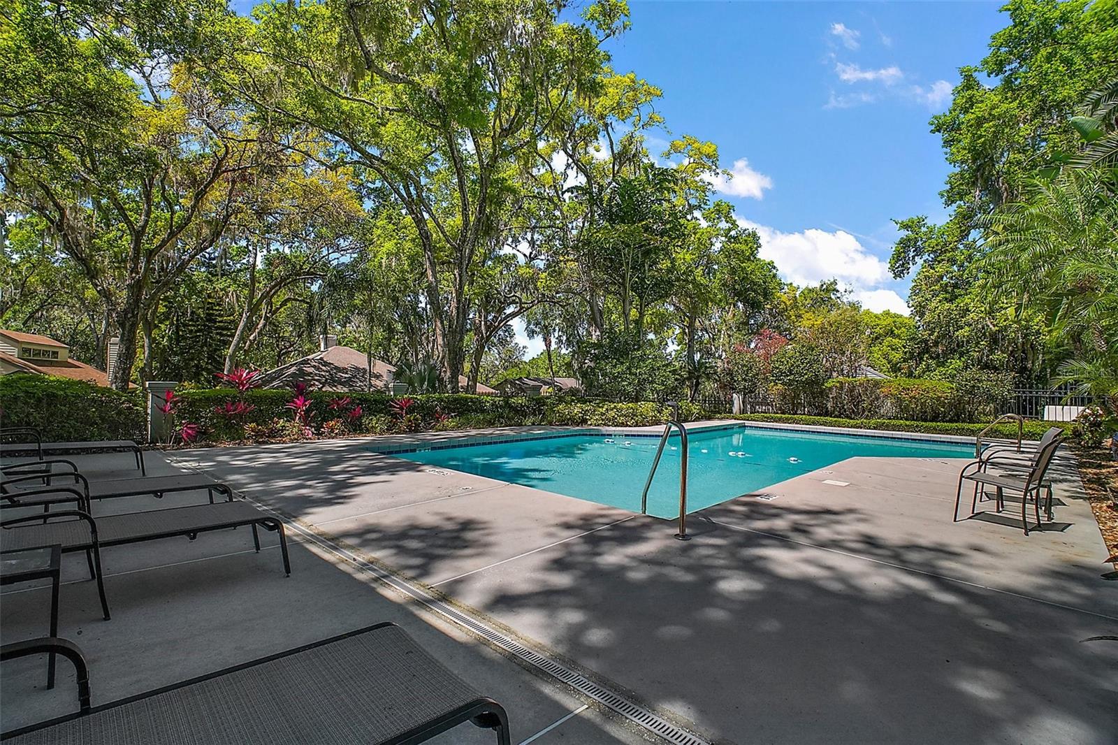 MOUNT DORA HIGH POINT AT LAKE DORA - Residential