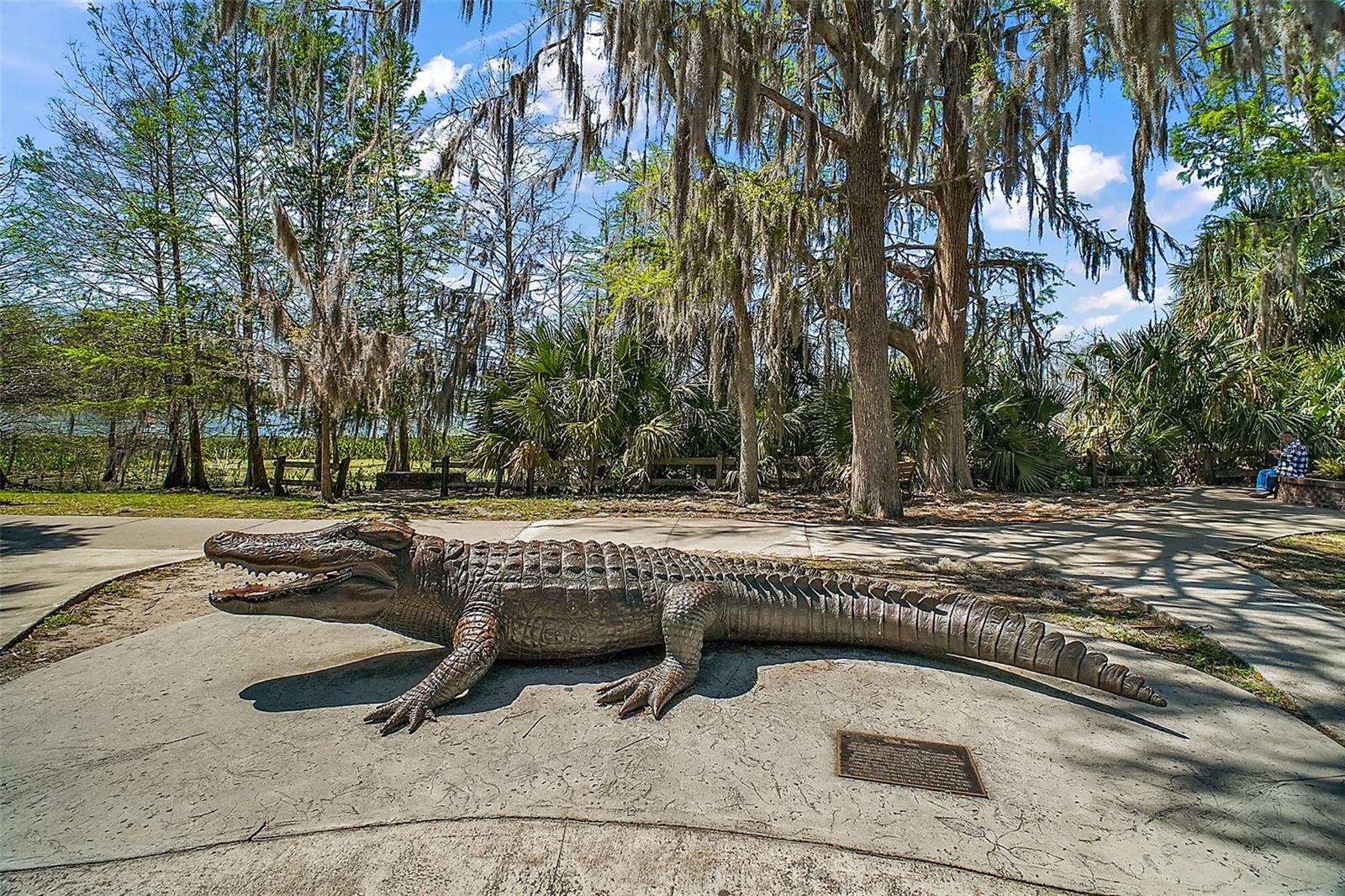 MOUNT DORA HIGH POINT AT LAKE DORA - Residential