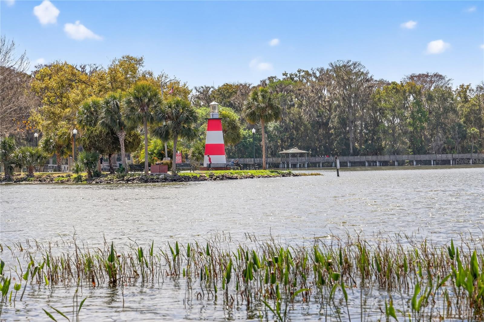 MOUNT DORA HIGH POINT AT LAKE DORA - Residential