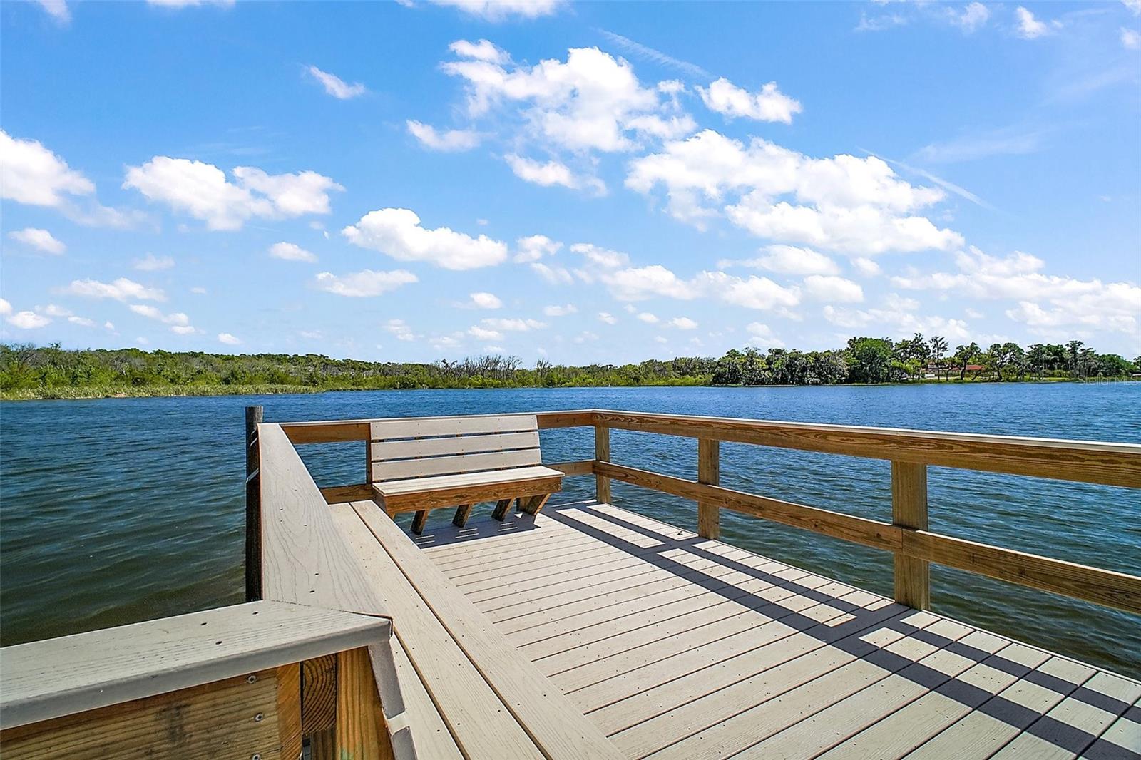 MOUNT DORA HIGH POINT AT LAKE DORA - Residential