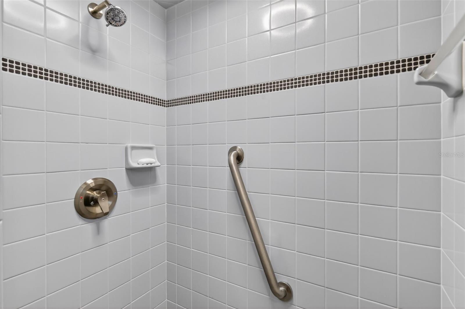 MOUNT DORA HIGH POINT AT LAKE DORA - Residential