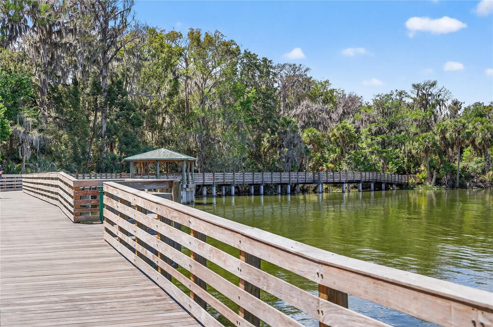 MOUNT DORA HIGH POINT AT LAKE DORA - Residential