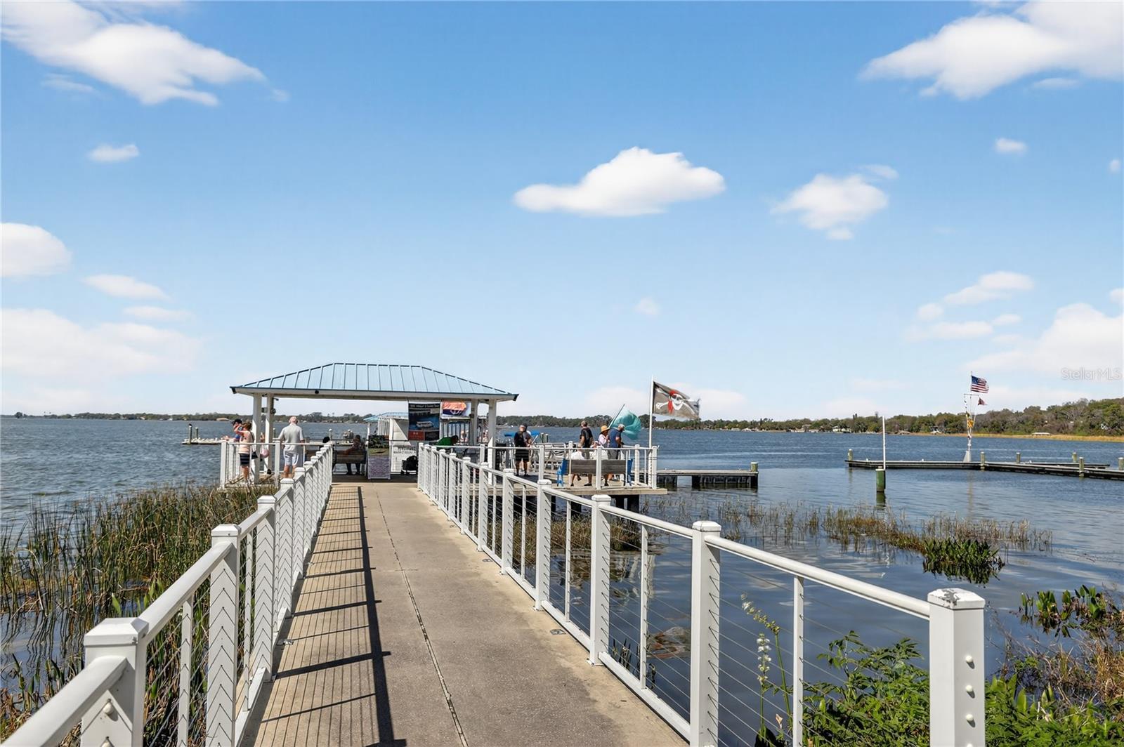MOUNT DORA HIGH POINT AT LAKE DORA - Residential