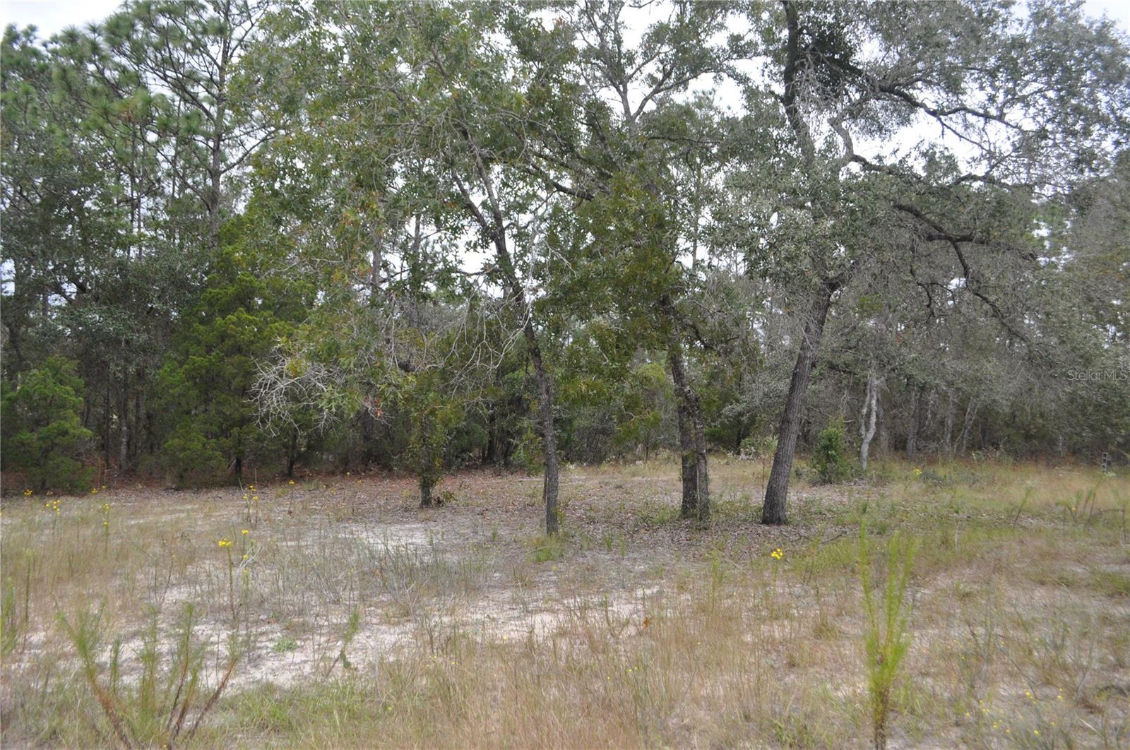 GULF HWY LAND UNIT 07 - Land