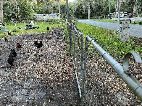 Photo of 2805 Cr 423, Lake Panasoffkee, FL 33538 (MLS # TB8466027)