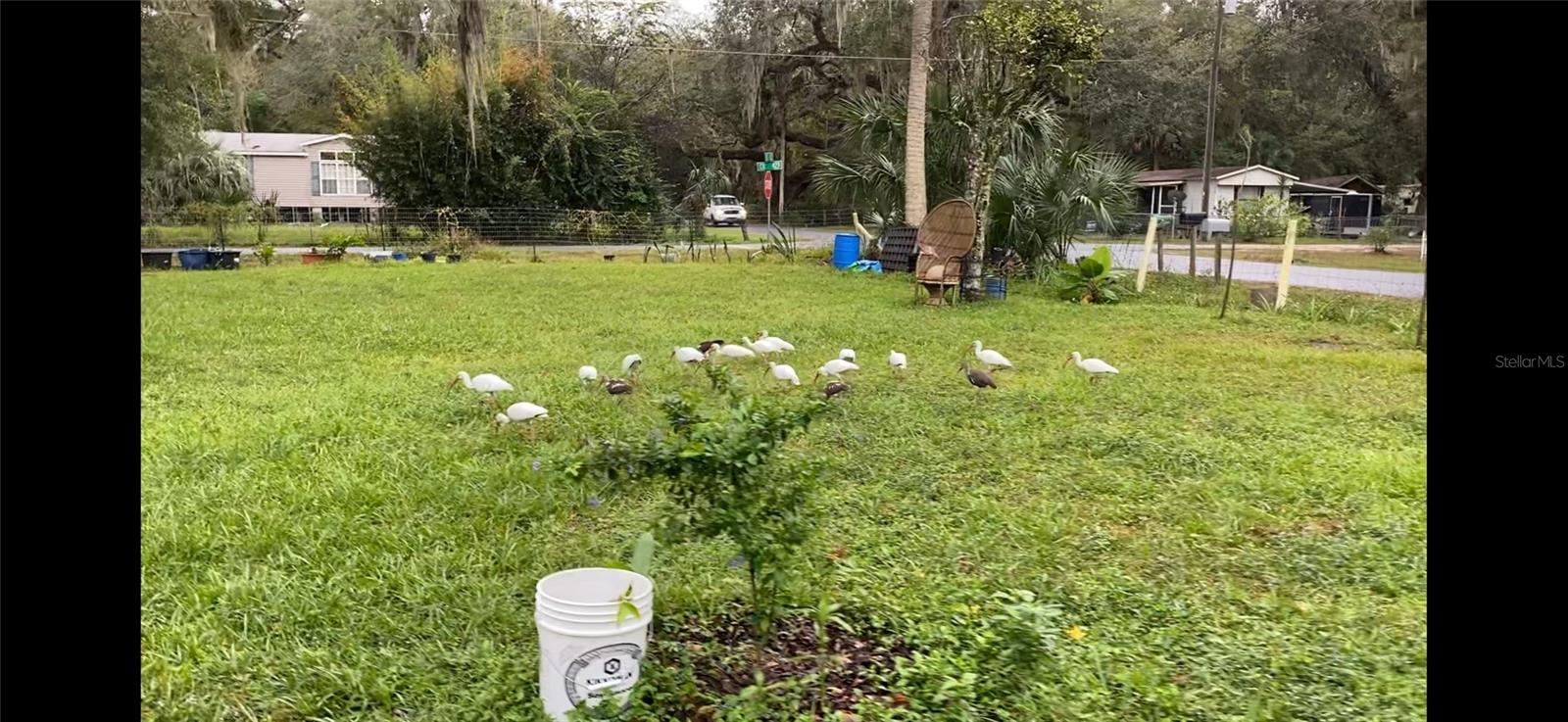 PANACOOCHEE RETREATS - Residential