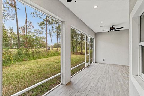 A home in ZEPHYRHILLS