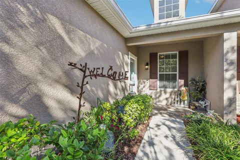 A home in LITHIA