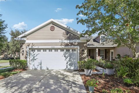 A home in LITHIA