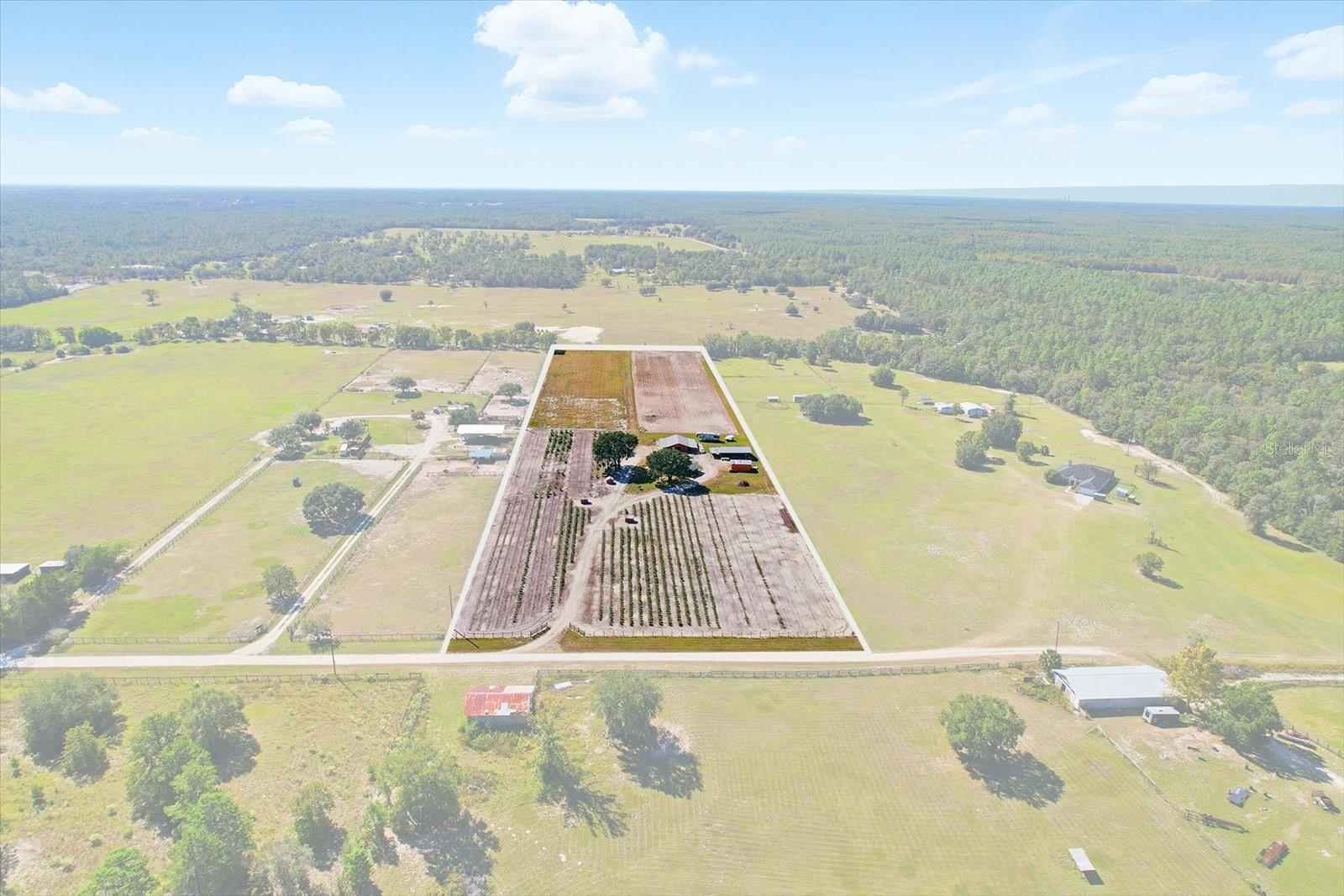 10.08-Acre Blueberry Farm with 3-Bedroom, 2-Bath Home, Multiple Barns, and Complete Equipment Package
Enjoy the best of country living and agricultural opportunity with this 3-bedroom, 2-bath mobile home situated on 10.08 fully fenced acres, featuring sheep and goat fencing on T-posts. The property boasts a well-established blueberry orchard with over 4,000 mature bushes and approximately 800 new plants being added soon. With five wells—three powered by 7.5-horsepower pumps and two with 5-horsepower pumps—there’s abundant irrigation to support ongoing production and future expansion.
Outbuildings include a 20' x 40' pole barn with a 12' x 20' lean-to, an unfinished 16' x 20' barn, and a 24' x 40' barn with two 12' x 40' lean-tos, providing excellent space for storage, equipment, and farm operations.
The sale also includes a comprehensive equipment package, offering a complete turn-key setup:
• 2024 Kubota 52" zero-turn mower
• 2010 John Deere 1026R tractor
• 4-foot bush hog
• Dewalt air compressor with 50-foot air hose
• 25,000 BTU walk-in cooler
• Mulch spreader and mulch wagon
• Bench with grinder and vise
• Folding tables, pallet jacks, and storage racks
• 60-gallon spray tank
• Approximately 90 five-quart picking buckets
• 400 yellow blueberry trays
• 3-pint metal baskets
• All PVC pipe and fittings located on the property
Additional equipment is available for purchase, providing even more flexibility for future growth.
This property is ideal for those seeking a turn-key agricultural business, a working blueberry farm, or a self-sufficient homestead with income potential and plenty of room to expand.
