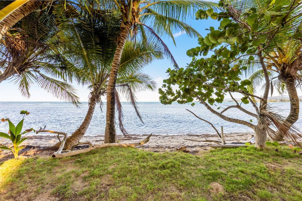 LAS PICUAS - Residential