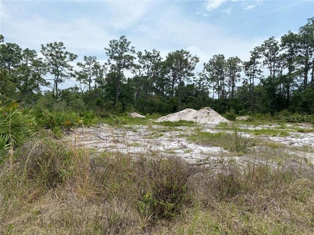 Photo of 6691 Deland Avenue, Indian Lake Estates, FL 33855 (MLS # O6343683)