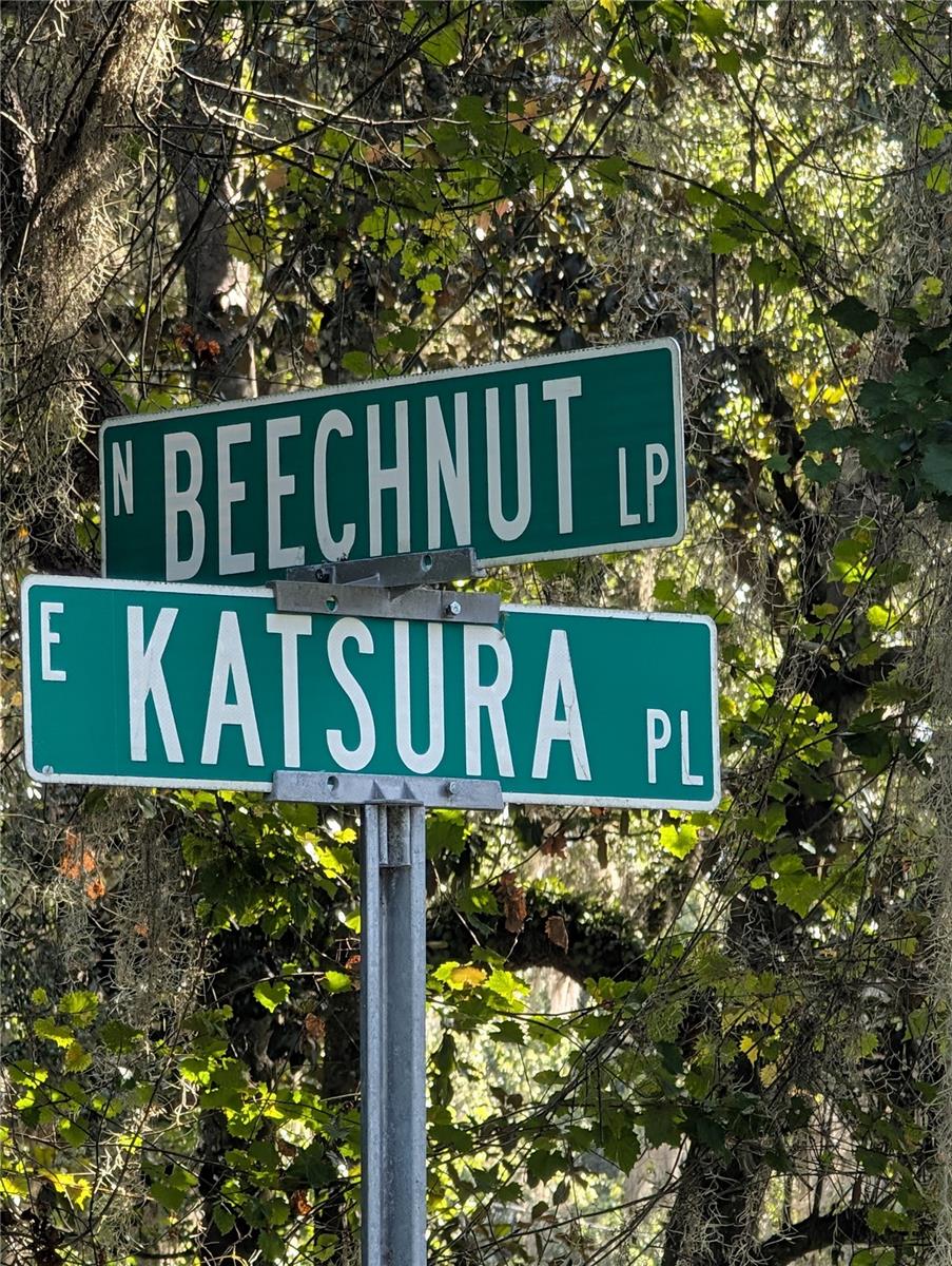 6650 N BEECHNUT LOOP