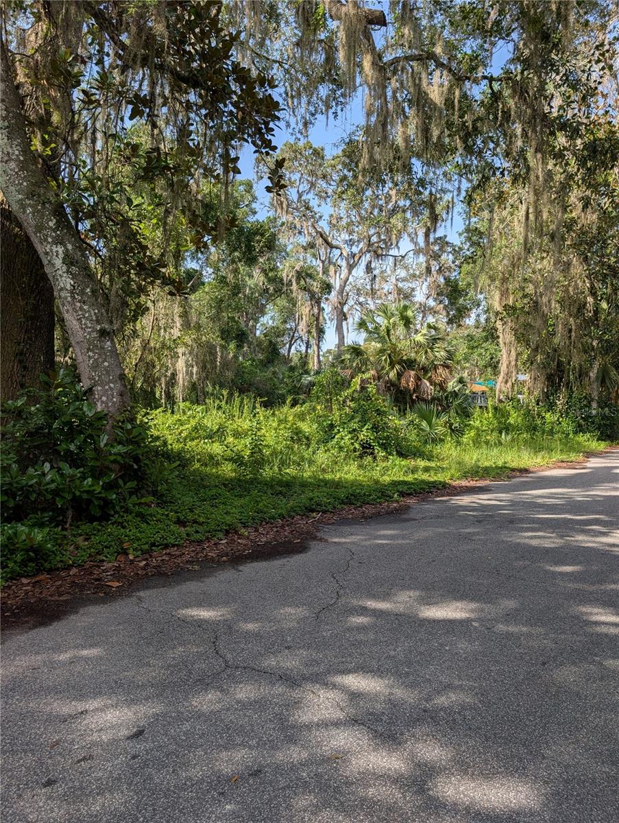 Photo 1 of 5 — 6650 N BEECHNUT LOOP, HERNANDO, FL 34442