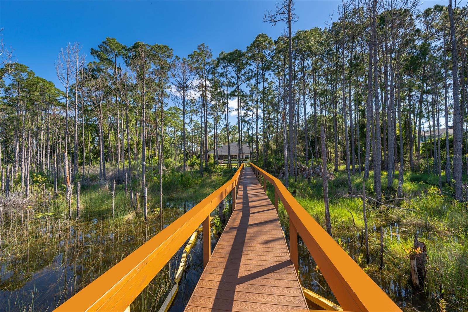 SEMINOLE WOODS 5 AC DEV - Residential