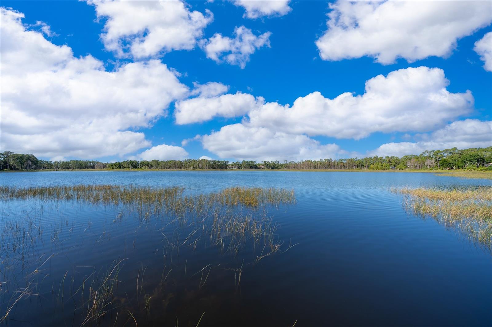 SEMINOLE WOODS 5 AC DEV - Residential