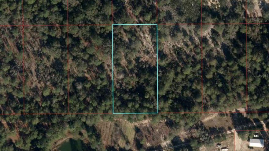Great 1.25-acre lot in East Bronson affording the space for privacy with the convenience of nearby stores and restaurants. No HOA. 17 miles from Gainesville, 7 miles from Archer. Enjoy the beautiful scenery of  North Central Florida, with Bronson Blue Springs and Devil's Den Springs nearby. With no HOA restrictions, you can design your home your way—add a garden, workshop, or plenty of room for outdoor living.