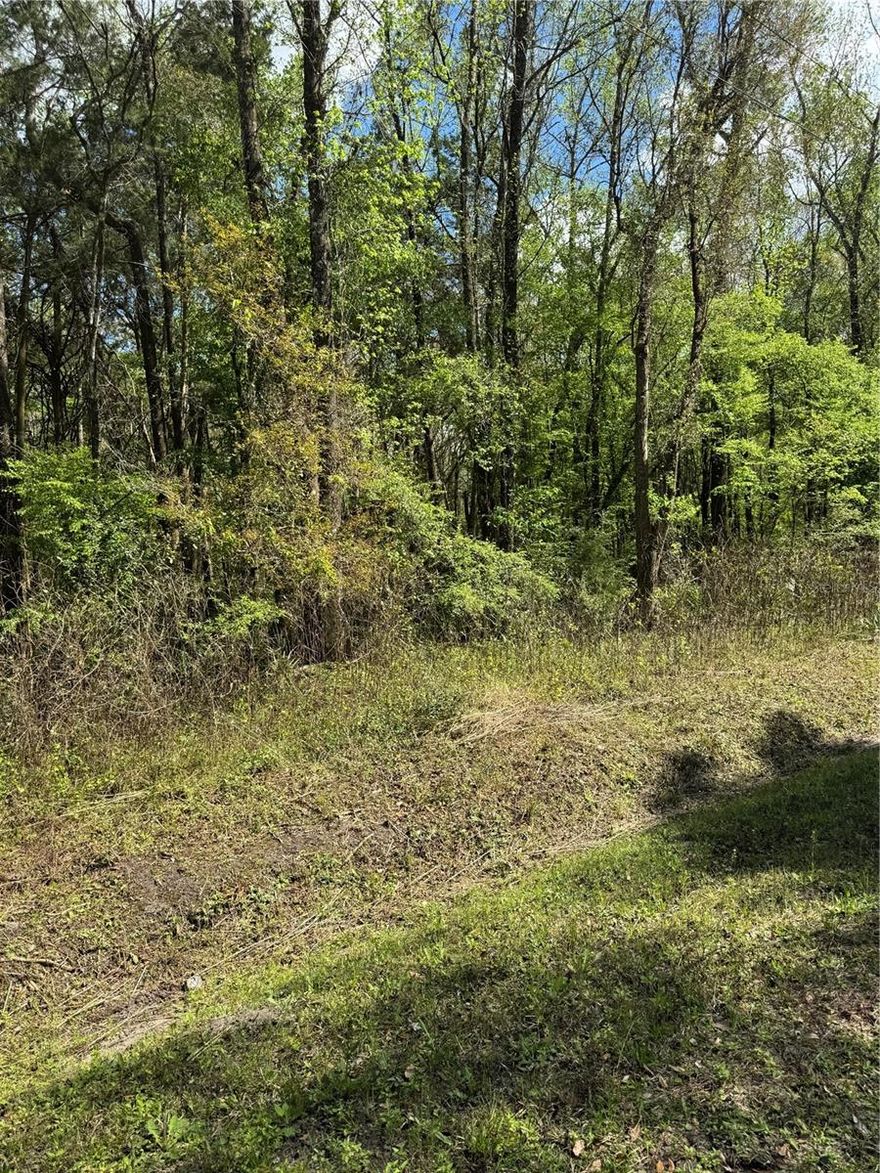 Located on a quiet non-through road with no passing traffic, this property offers a rare opportunity to own over an acre of high and dry land in the rapidly growing Flagler Estates area. Situated outside the flood zone, the lot provides peace of mind along with privacy. Escape the noise of city life and enjoy a tranquil setting surrounded by nature, where the sounds of birds creating a calm and relaxing atmosphere.
Enjoy the best of both worlds—peaceful, recreation-focused living with convenient access to St. Augustine, Jacksonville, and the stunning beaches of Northeast Florida. Whether you envision an outdoor retreat, a relaxing weekend escape, or a smart long-term investment, this property offers the perfect canvas for your plans. With no HOA, no CDD fees, and no deed restrictions, you have the freedom to create your ideal basecamp—whether that’s a site-built, modular, or manufactured home. Bring your ATVs, side-by-sides, dirt bikes, trucks, and all your outdoor toys. There’s plenty of space for storage, additional structures, workshops, or gear.
Claim your piece of Florida freedom today!