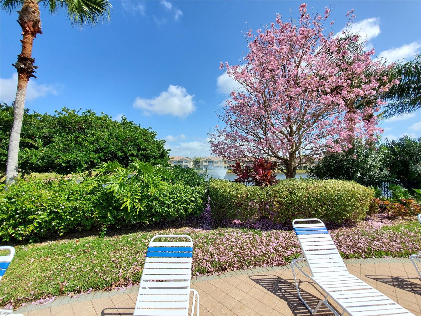 PARKRIDGE PH 33 & 19 - Residential Lease