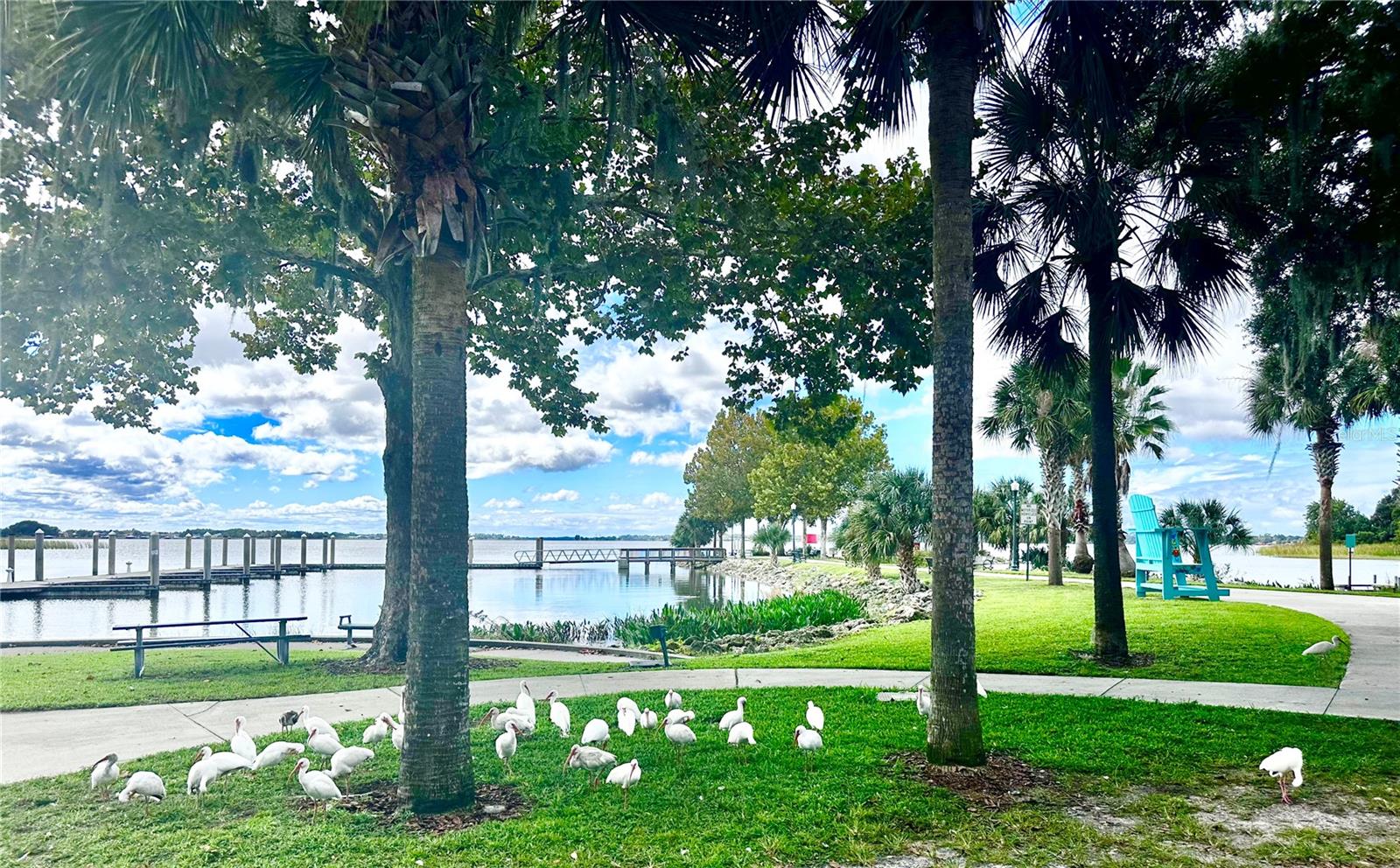 MOUNT DORA - Residential Lease