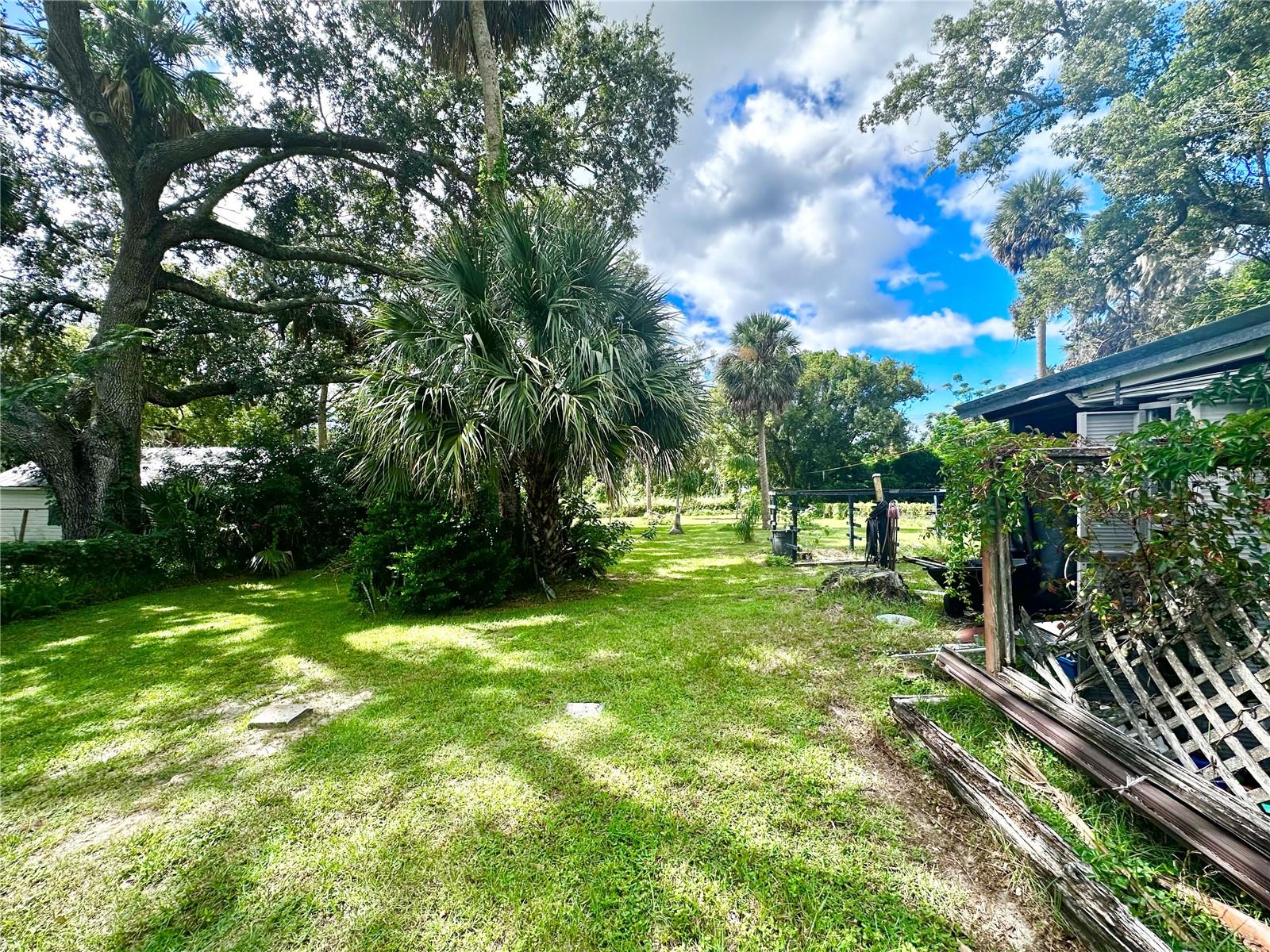 MOUNT DORA - Residential Lease